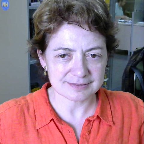 Ana M. Tarquis
